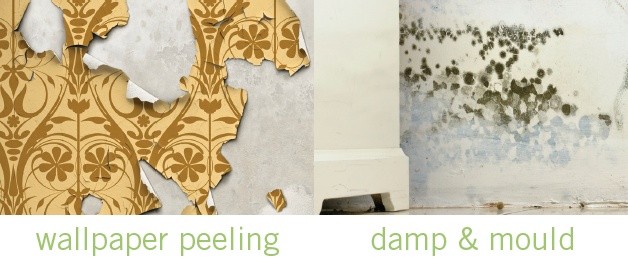 wallpaper peeling wallpaper peeling, damp and mould, flaky ceiling, dated interior